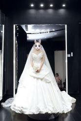 -Bridal Queen·婚纱女皇