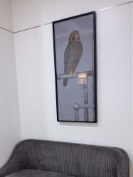 -AIST爱思特医疗美容医院