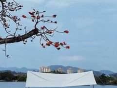 -鹤之洲湿地公园