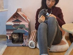 -猫咪派对(江南西店)