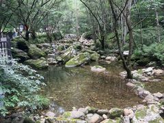 -牛背梁国家森林公园