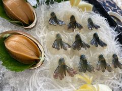 罗氏虾生-祈胜邨•顺德鱼生•顺德菜(容桂店)