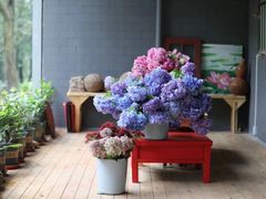 -秦岭风景区