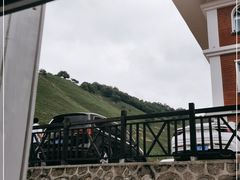 -关山草原