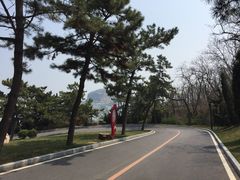 -棒棰岛宾馆景区