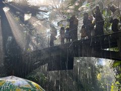 -青青世界