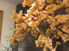 -呷湘厨·鱼汤捞饭·剁椒鱼头·湘菜(国家会展中心店)