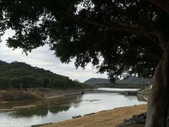 -风云岭森林公园