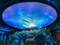 -陕西自然博物馆