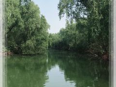 -大湾区中央湿地公园
