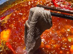 -一斗火锅·招财羊毛肚(泰吉滨江店)