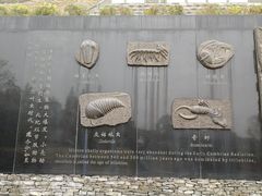 -金钉子远古世界景区