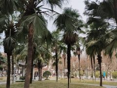 -四川大学(望江校区)