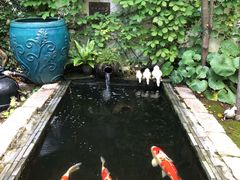 -苏州环秀晓筑养生度假村