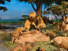 -国家自然博物馆