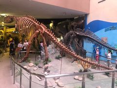 -陕西自然博物馆