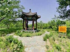 -御林古桑园