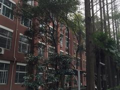 -上海科学技术职业学院