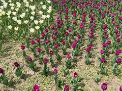 -长春公园(普阳街道)