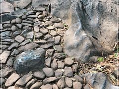 -灵隐飞来峰景区