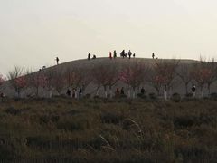 -古柏渡飞黄旅游区