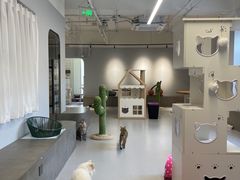 -Cappucimeow猫咪咖啡馆(韦伯时代店)