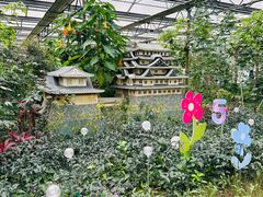 -南宫五洲植物乐园