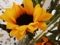 -匡小敏手工烘培(大地金墅店)