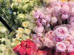 -循礼门鲜花花市(武汉循礼门店)