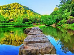 -桃花岭景区