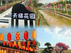 -盈香心动乐园