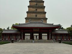 -唐猫庭院·千年陕菜(大唐不夜城店)