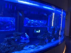 -上和臻品中国菜(花园街店)