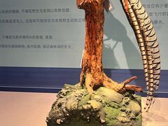 -台州博物馆