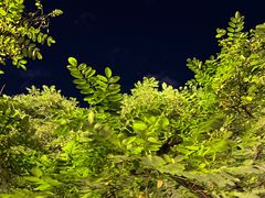 -LAMP BAR 水烟音乐酒吧