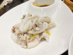 -小耕园