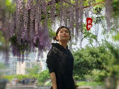 -嘉定紫藤园