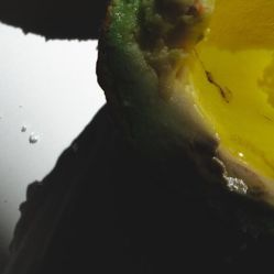-凡碧诗毛孔收细