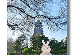 -红梅公园