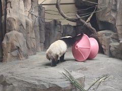 -宁波野生动物园