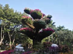 -广州雕塑公园