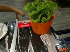 -古乐牛香·鲜牛肉牛杂火锅(五一中路店)