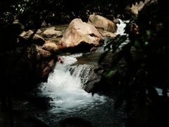 -广州白江湖森林公园