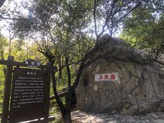 -阳台山自然风景区