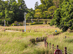 -红花山公园