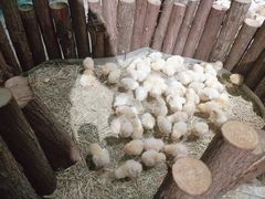 -苏州海洋馆