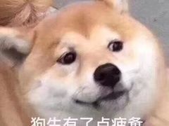 -玛格萝妮比萨屋(四平店)