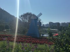 -南沙蒲洲花园