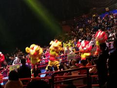 -广州长隆国际大马戏