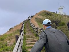 -涉地可支